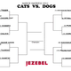 Illustration for article titled Cats vs. Dogs: The First Round Goes Out With A Bang